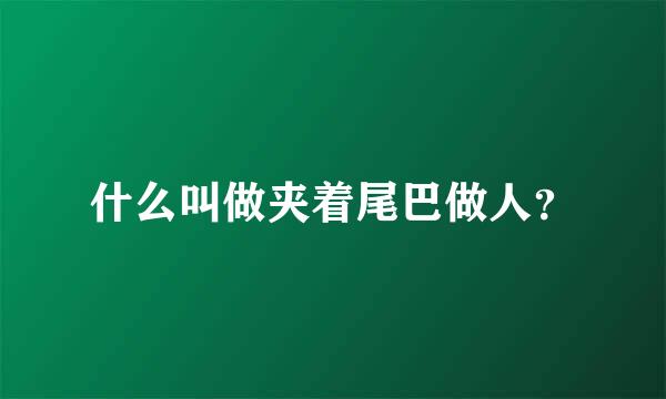 什么叫做夹着尾巴做人？