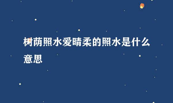 树荫照水爱晴柔的照水是什么意思