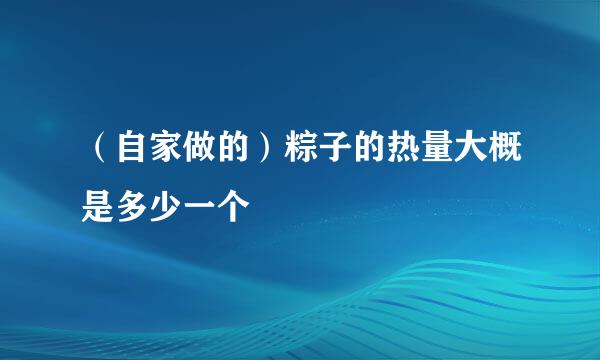 （自家做的）粽子的热量大概是多少一个