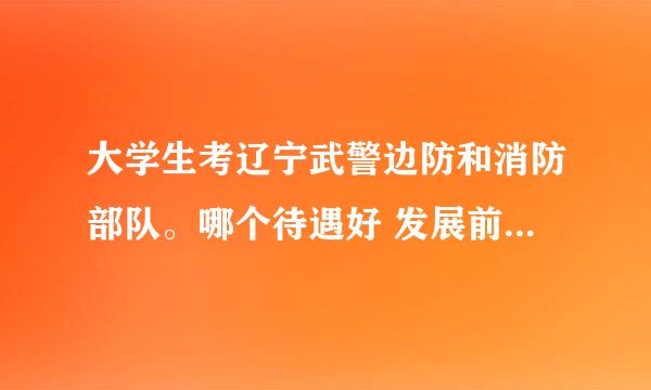 大学生考辽宁武警边防和消防部队。哪个待遇好 发展前景好？求有资历的人详细讲解。