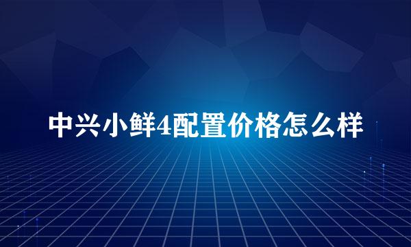 中兴小鲜4配置价格怎么样