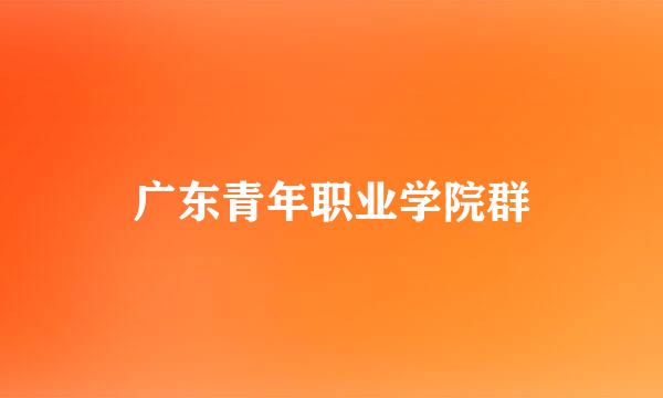 广东青年职业学院群