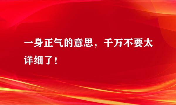 一身正气的意思，千万不要太详细了！