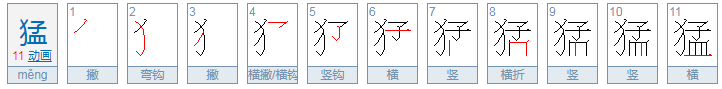 猛的拼音是什么