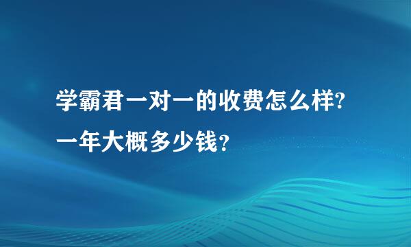 学霸君一对一的收费怎么样?一年大概多少钱？