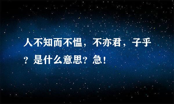 人不知而不愠，不亦君，子乎？是什么意思？急！