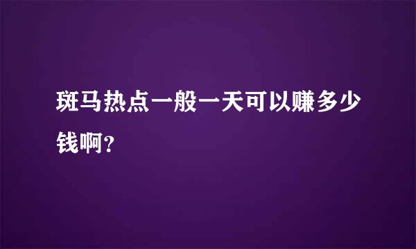 斑马热点一般一天可以赚多少钱啊？