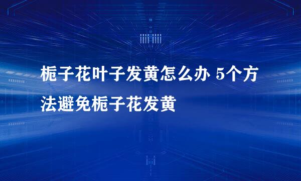 栀子花叶子发黄怎么办 5个方法避免栀子花发黄