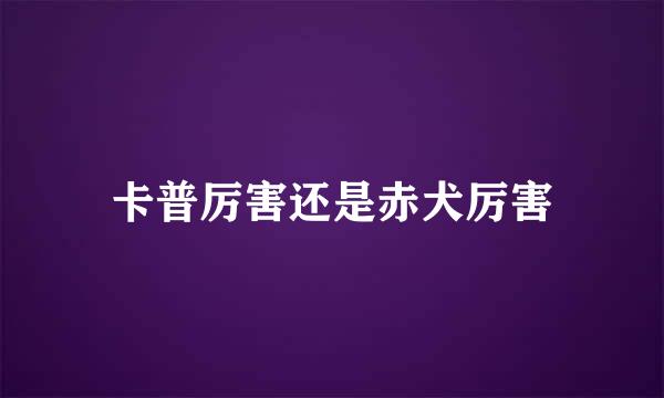 卡普厉害还是赤犬厉害