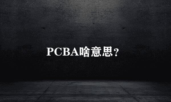 PCBA啥意思？