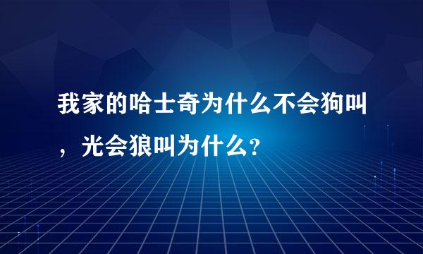 我家的哈士奇为什么不会狗叫，光会狼叫为什么？