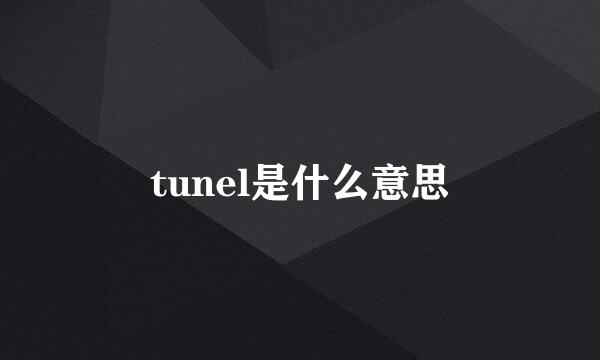 tunel是什么意思