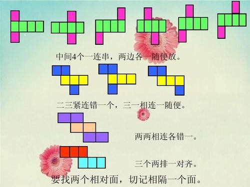 长方体的展开图有几种?