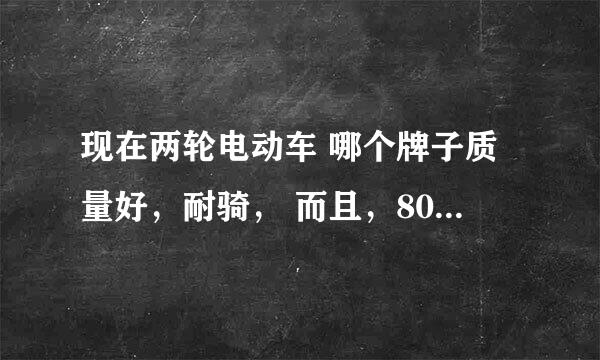 现在两轮电动车 哪个牌子质量好，耐骑， 而且，80公里左右满电能轻松跑到的有吗，用过的详细介绍下