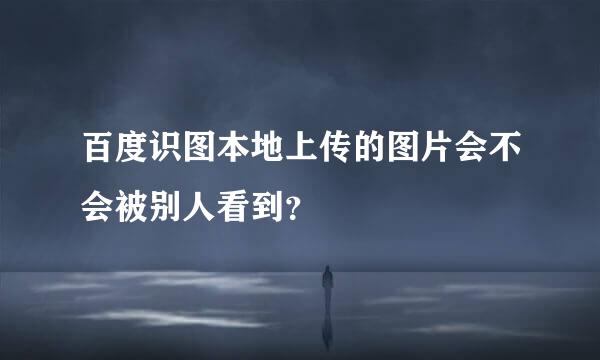 百度识图本地上传的图片会不会被别人看到？