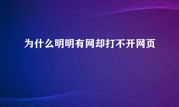 为什么明明有网却打不开网页