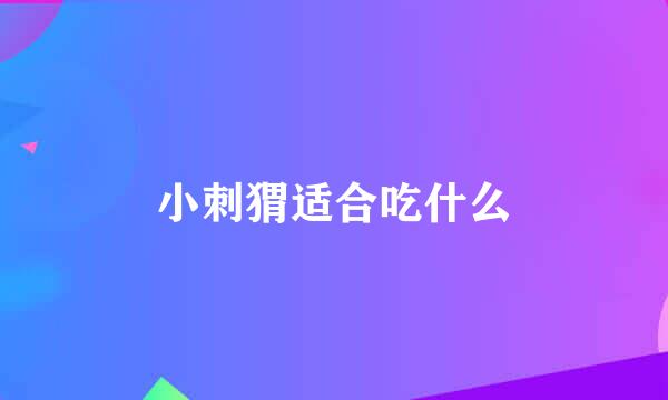 小刺猬适合吃什么