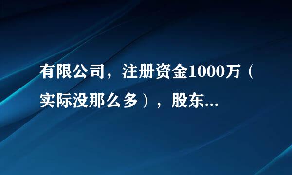 有限公司，注册资金1000万（实际没那么多），股东出资10万，占股10%，若公司发生风险，股东承担