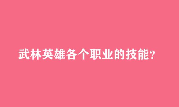 武林英雄各个职业的技能？