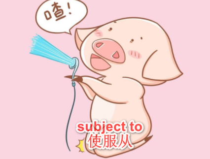 subject to是什么意思