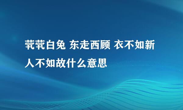 茕茕白兔 东走西顾 衣不如新 人不如故什么意思