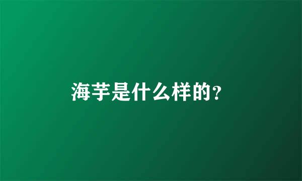 海芋是什么样的？