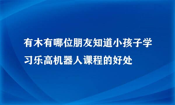 有木有哪位朋友知道小孩子学习乐高机器人课程的好处