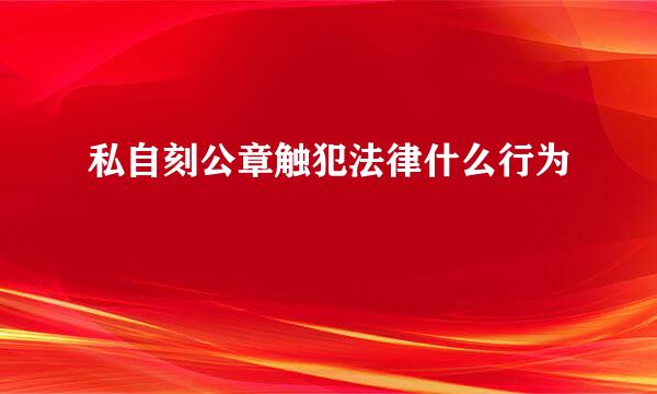 私自刻公章触犯法律什么行为