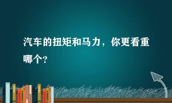 汽车的扭矩和马力，你更看重哪个？