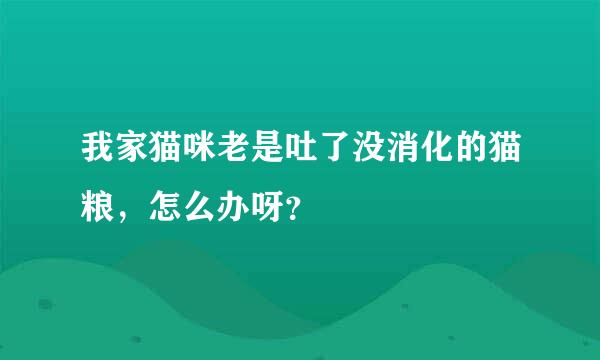 我家猫咪老是吐了没消化的猫粮，怎么办呀？