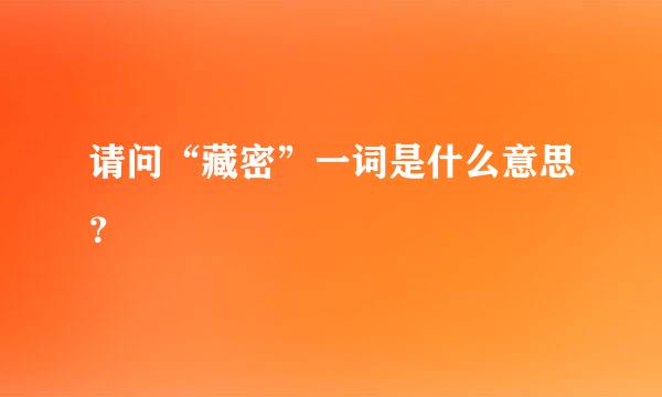 请问“藏密”一词是什么意思？