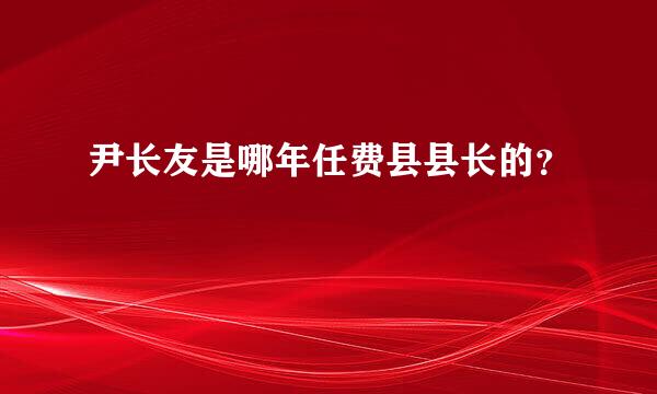 尹长友是哪年任费县县长的？