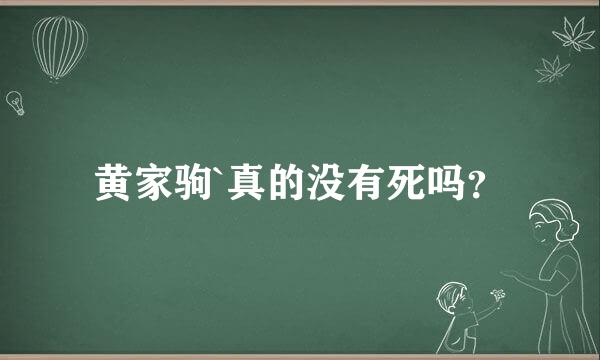 黄家驹`真的没有死吗？