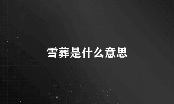 雪葬是什么意思