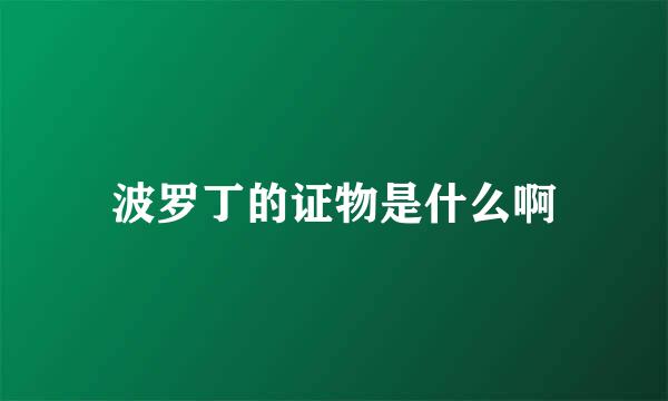 波罗丁的证物是什么啊