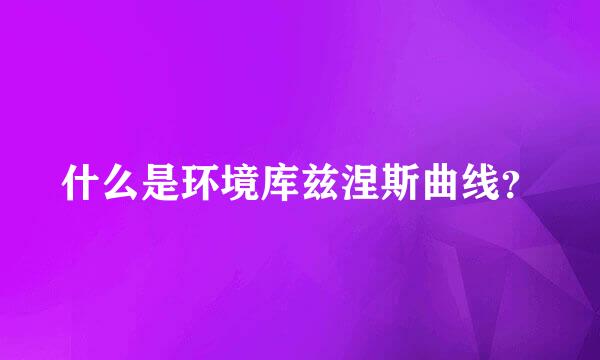 什么是环境库兹涅斯曲线？