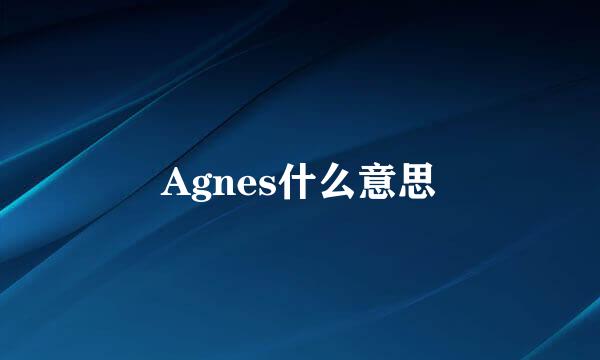 Agnes什么意思