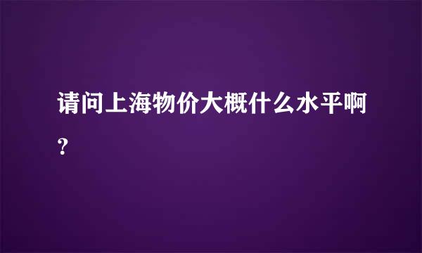 请问上海物价大概什么水平啊？