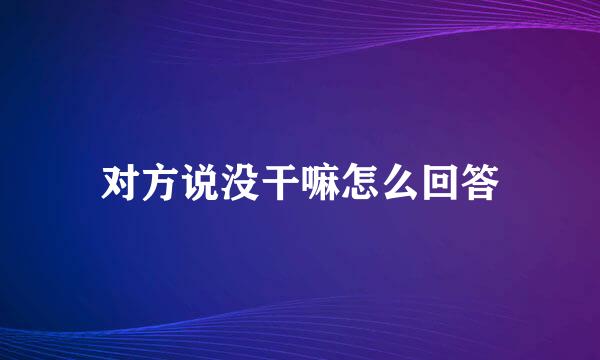 对方说没干嘛怎么回答