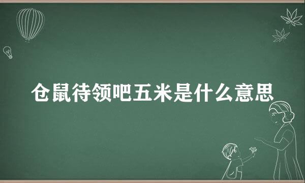 仓鼠待领吧五米是什么意思