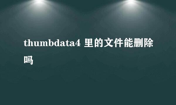 thumbdata4 里的文件能删除吗