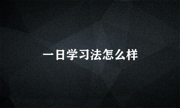 一日学习法怎么样