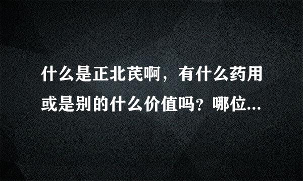 什么是正北芪啊，有什么药用或是别的什么价值吗？哪位兄弟姐妹能告诉我一下吗？？？？