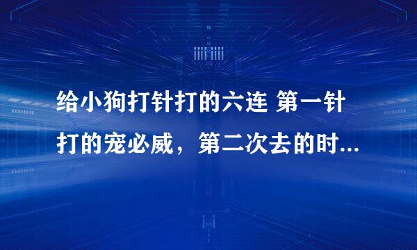 给小狗打针打的六连 第一针打的宠必威，第二次去的时候六连的药暂时没有，就先打了八连的卫8，狂犬疫苗