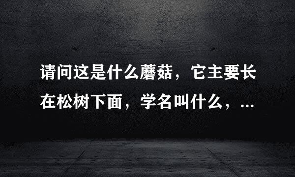 请问这是什么蘑菇，它主要长在松树下面，学名叫什么，生长环境？