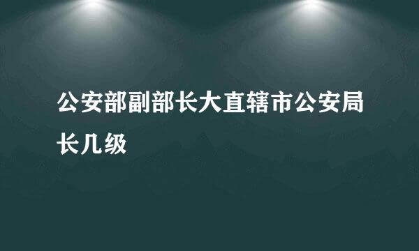 公安部副部长大直辖市公安局长几级