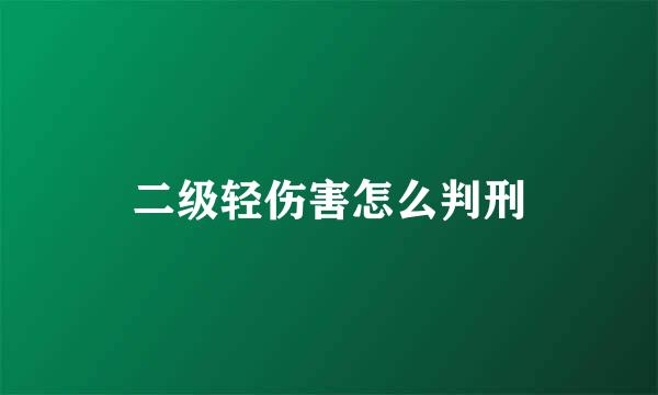 二级轻伤害怎么判刑