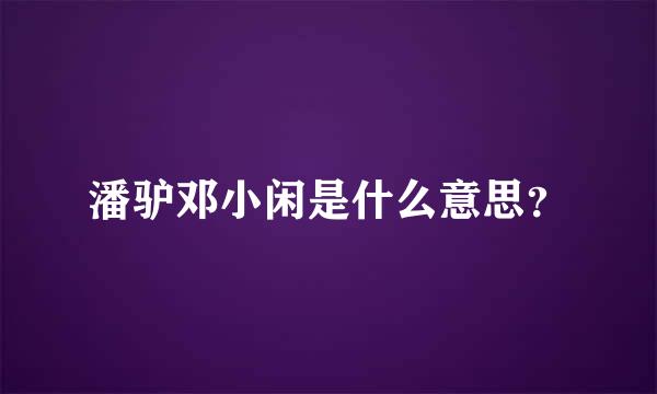 潘驴邓小闲是什么意思？