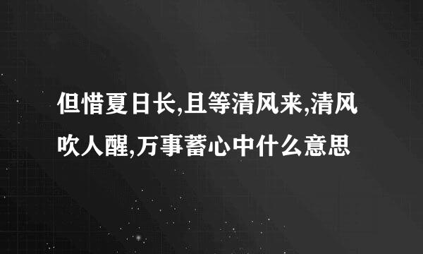 但惜夏日长,且等清风来,清风吹人醒,万事蓄心中什么意思