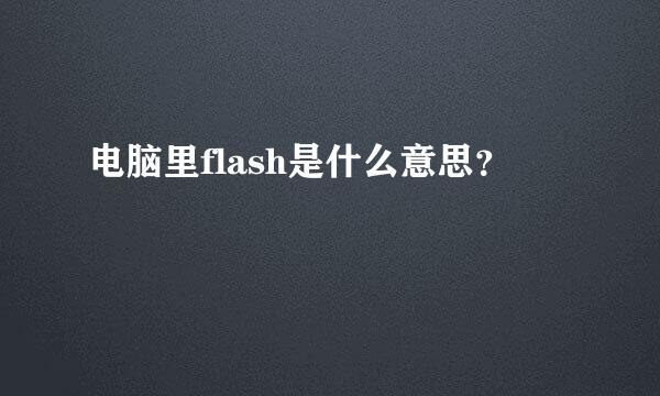 电脑里flash是什么意思？